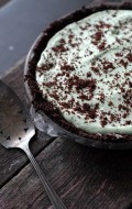 Boulder+Locaovre+grasshopper+pie7021