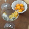 Boulder+Locavore+Gingertini+1764