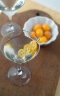 Boulder+Locavore+Gingertini+1764