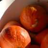 Boulder+Locavore+bookcliff+winery+982