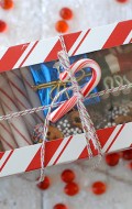 Boulder+Locavore+holiday+treat+box+1188-2