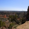 Boulder+Locavore+palo+duro+canyon+424