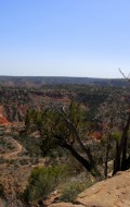 Boulder+Locavore+palo+duro+canyon+424