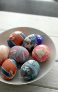 Boulder+Locavore+silk+eggs+577