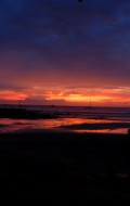 DSC_0130-2