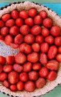 3 Ingredient No Bake Strawberry Tart | BoulderLocavore.com