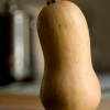 iStock_000006849825XSmall