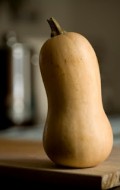 iStock_000006849825XSmall