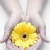 images2