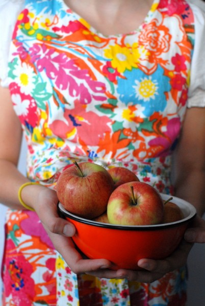 boulderlocavore.com apples and apron 822