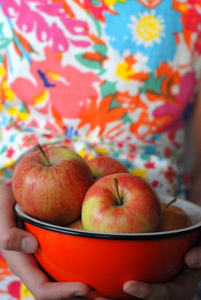 boulderlocavore.com bowl of apples 818-001