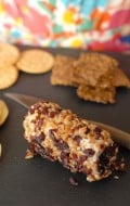 boulderlocavore.com cranberry pecan goat cheese roll 838-001
