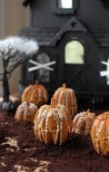 boulderlocavore.com mini pumpkin cakes 479-001