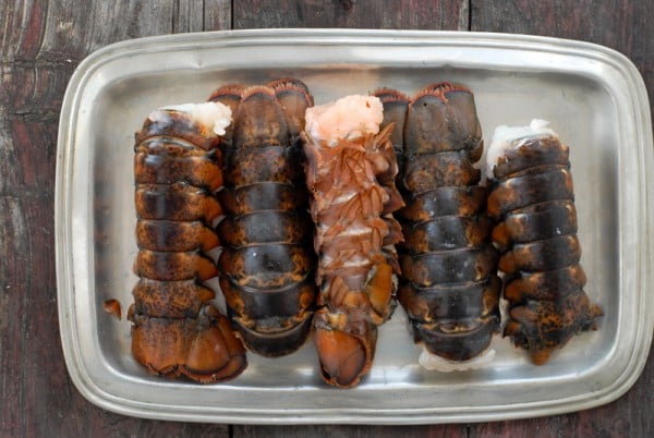 BoulderLocavore.com Lobster tails BoulderLocavore.com