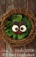 How to Make Gluten Free Owl Cupcakes | BoulderLocavore.com DSC_0211-003