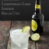 Grapefruit-lemongrass-lime infused gin and tonic cocktail BoulderLocavore.com