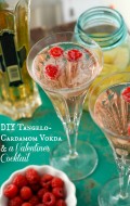 DIY Homemade Tangelo-Cardamom Vodka Valentine's Cocktail | BoulderLocavore.com
