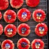 Raspberry-Vanilla glazed Sugar cookies with Sugared Pansies | BoulderLocavore.com #glutenfree