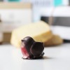 Colorado Crafted Sringtime Tea Box marzipan robin | BoulderLocavore.com