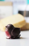 Colorado Crafted Sringtime Tea Box marzipan robin | BoulderLocavore.com