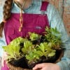 Square Foot Gardening | BoulderLocavore.com