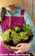 Square Foot Gardening | BoulderLocavore.com