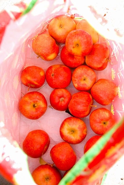 harvested apples in bag