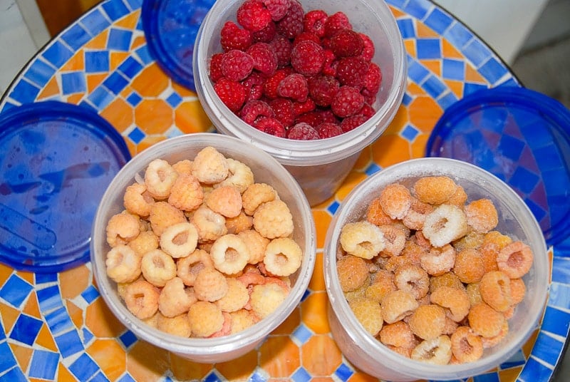 containers of frozen raspberries