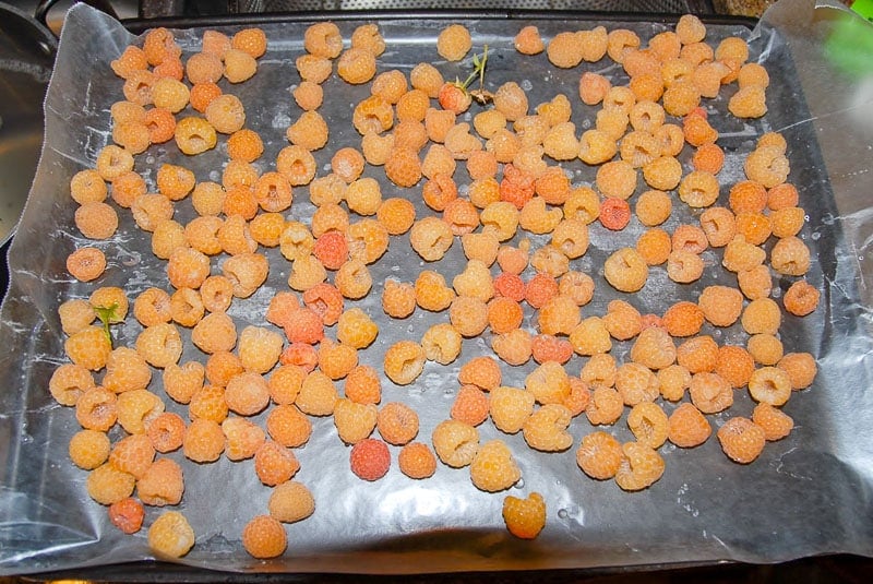 golden raspberries on baking sheet