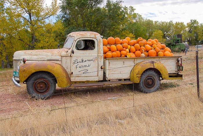 loukonen farms truck full of harvested pumpkins