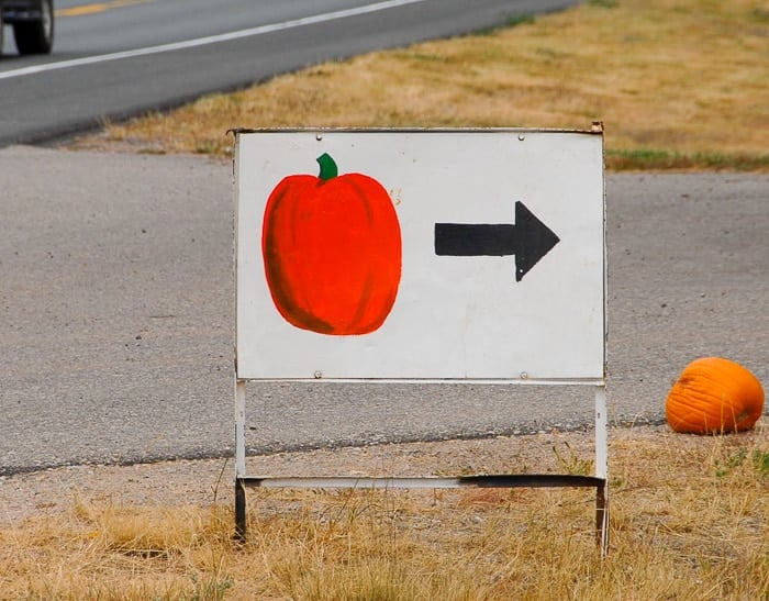 loukonen farms sign to pumpkin patch