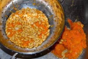 pumpkin seeds in colander
