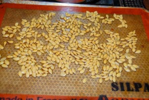 pumpkin seeds on silpat