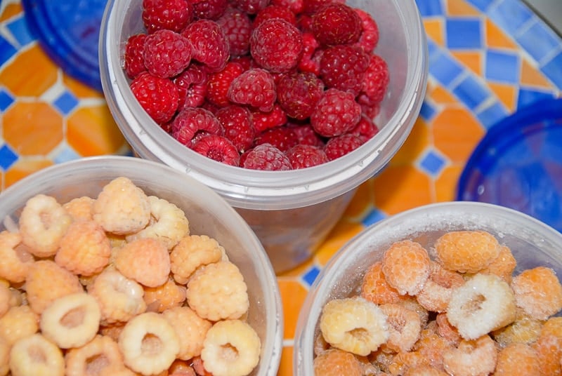 raspberries in freezer containers