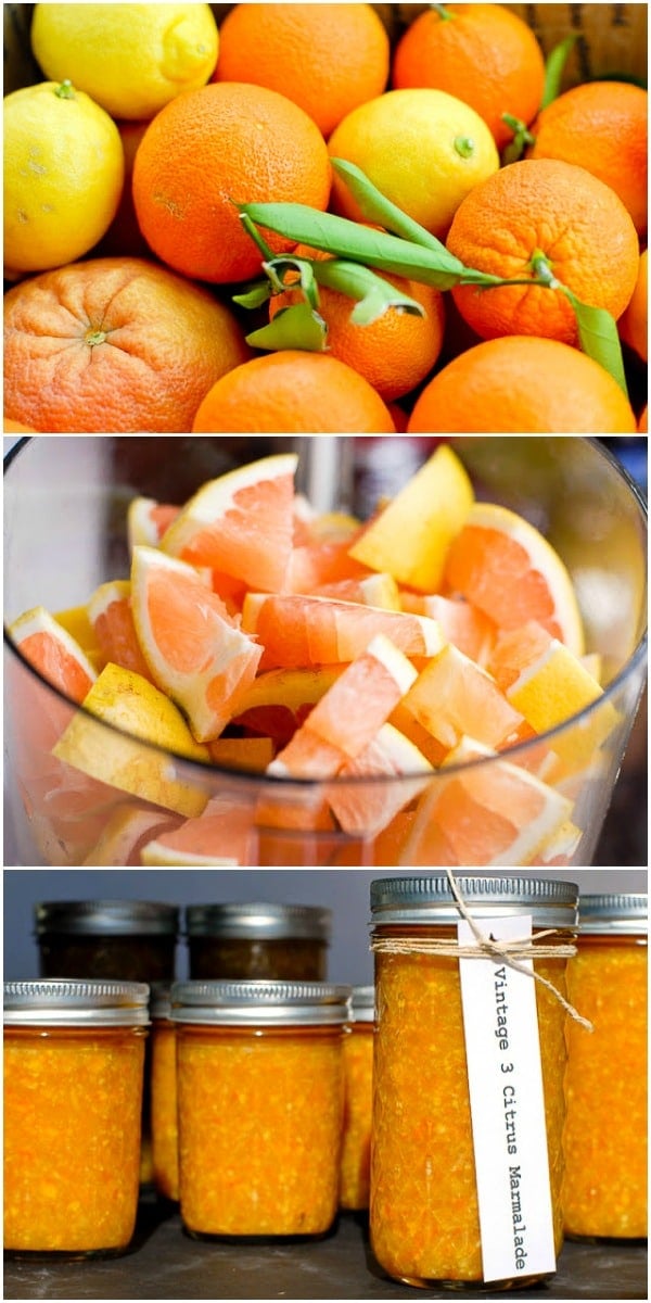 Vintage Three Citrus Marmalade recipe in food processor