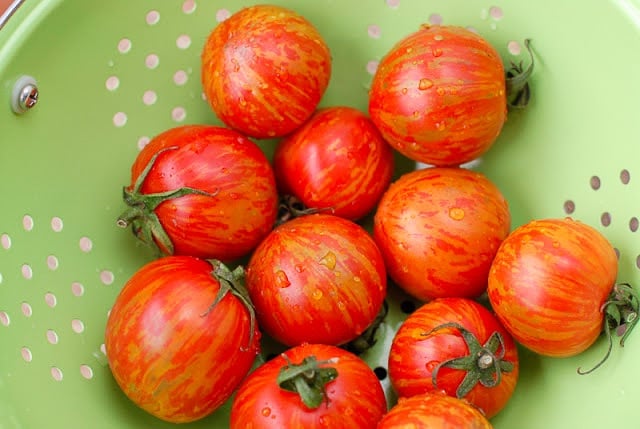Heirloom Tomatoes in green colander