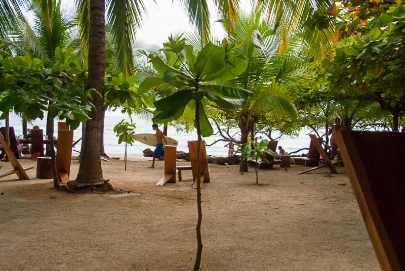 view of the ocean with palm trees and surfers in Guanacaste Costa Rica