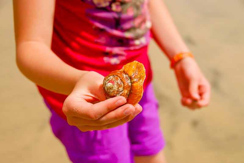 Girl's hand holding orange shell on Costa Rica beach