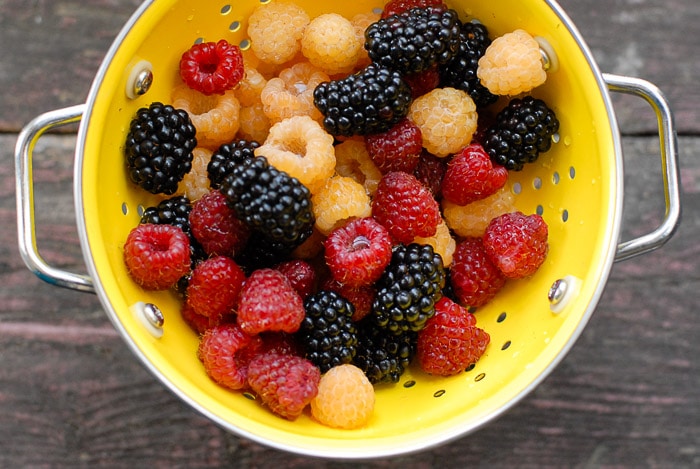 mixed raspberries in yellow colander