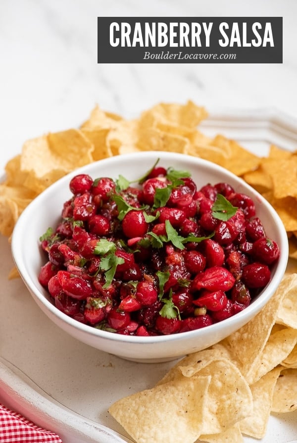 Cranberry Salsa in a white bowl title image