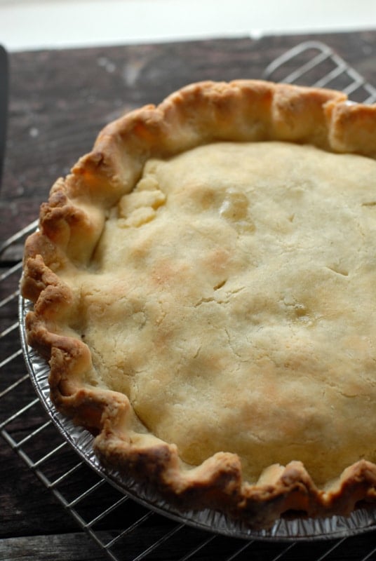 golden crust on homemade cooked buffalo pot pie