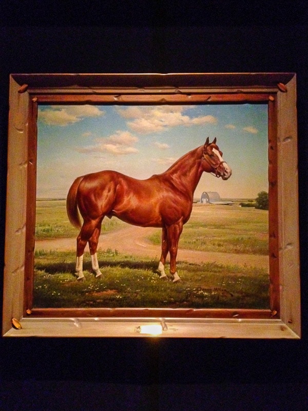 Horse portrait at American Quarter Horse Museum Amarillo Texas