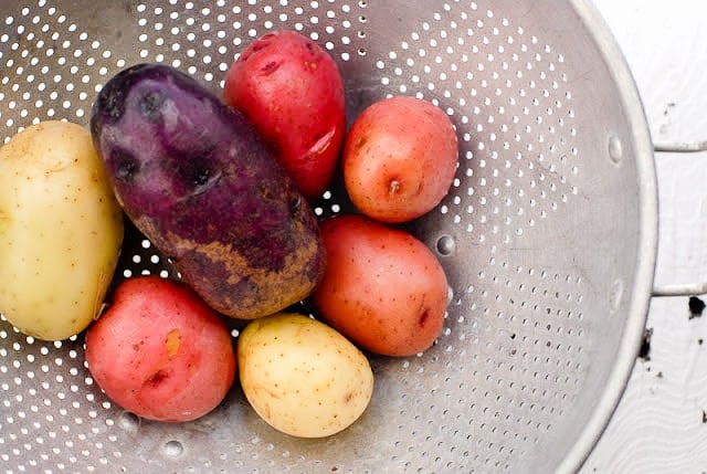 colored new potatoes