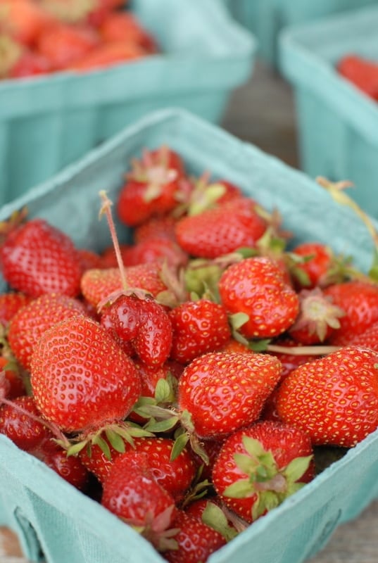 freshly picked strawberries