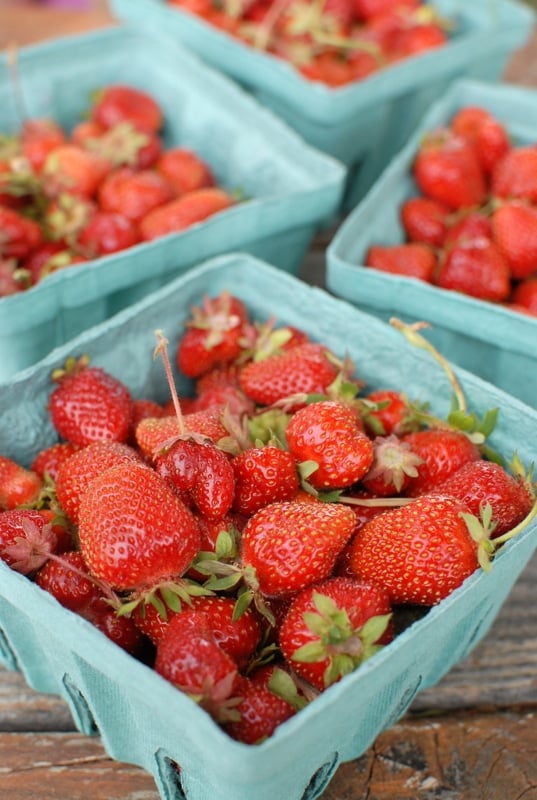 hand picked strawberries