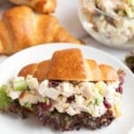 cranberry chicken salad on a croissant.