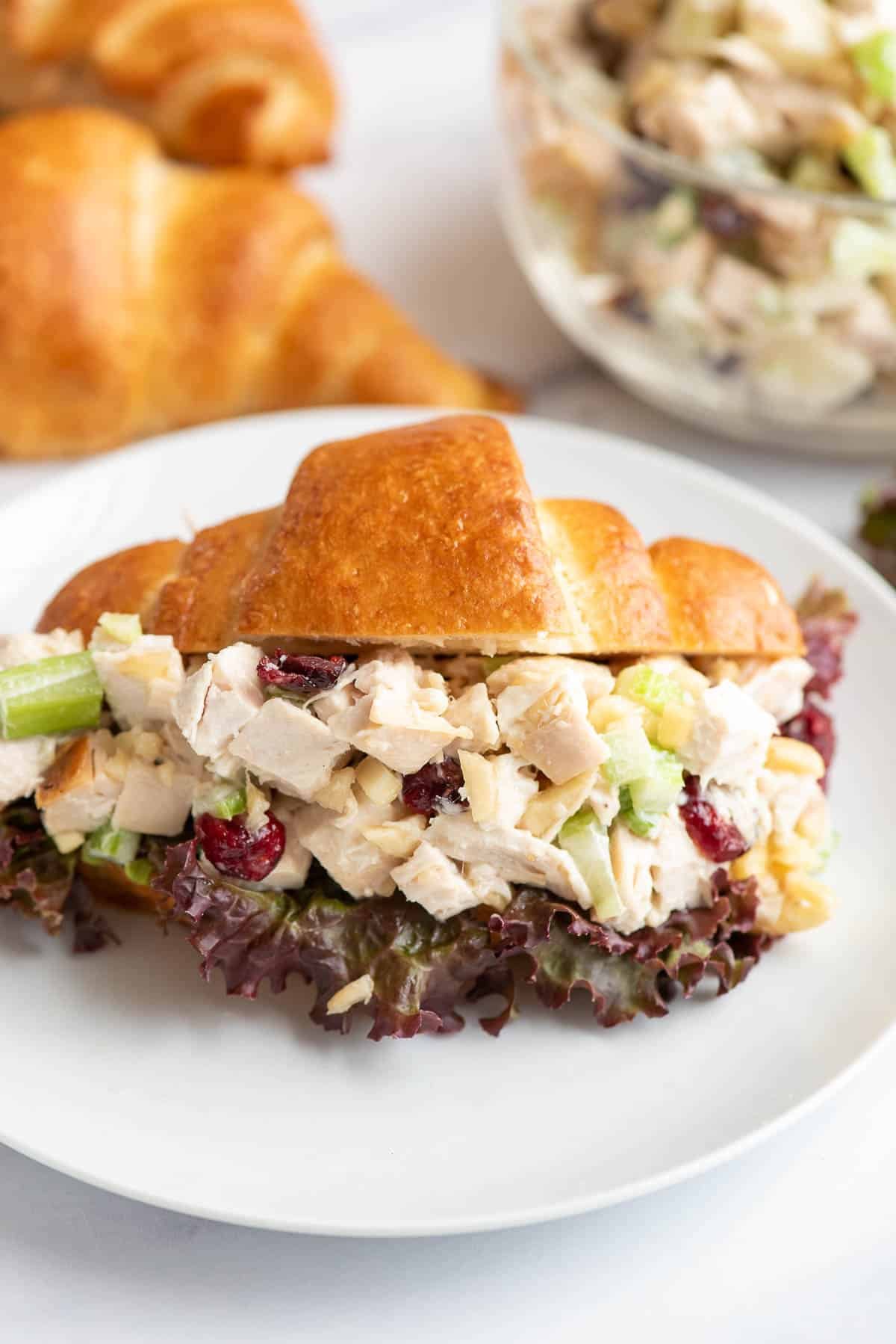 cranberry chicken salad on croissant close up.