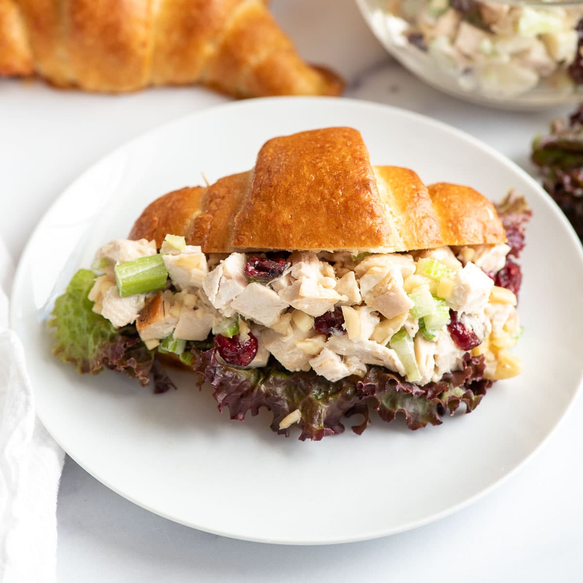 Sweet Spicy Curry Chicken Salad with Cranberries and Red Onions 