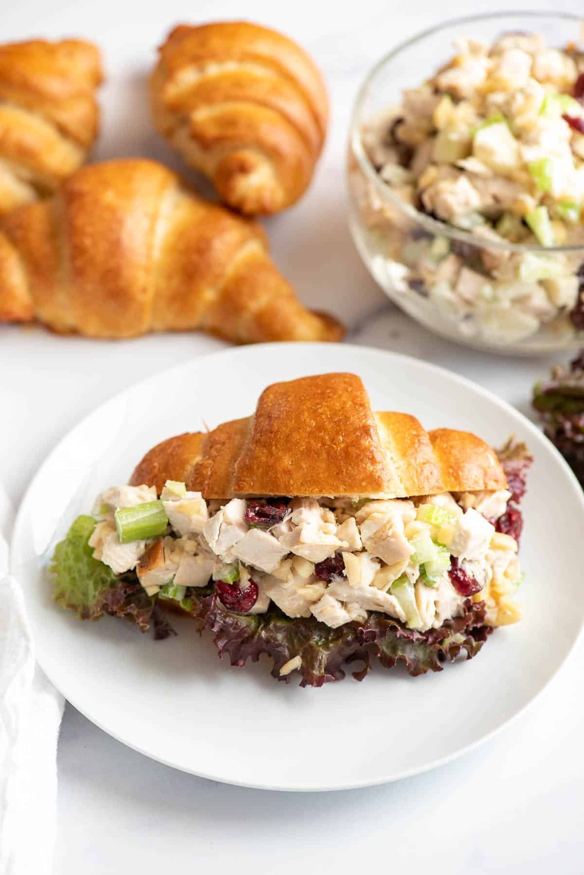 cranberry chicken salad on croissant plated
