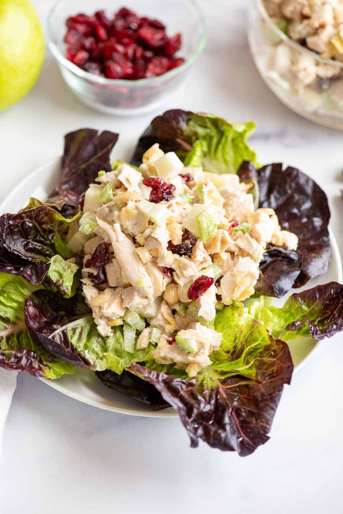cranberry chicken salad on lettuce.